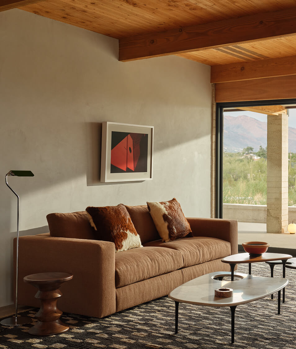 Explore the Collection