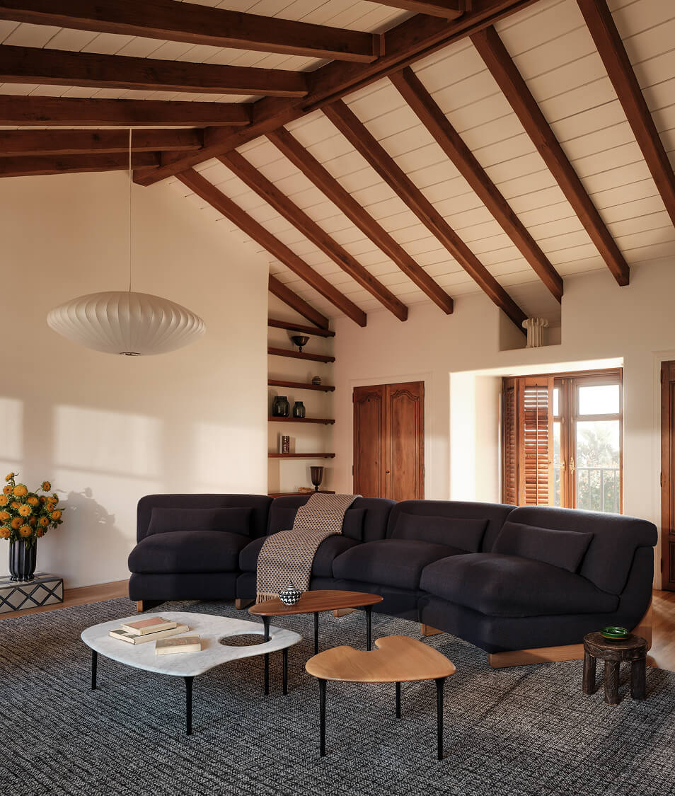 Explore the Collection