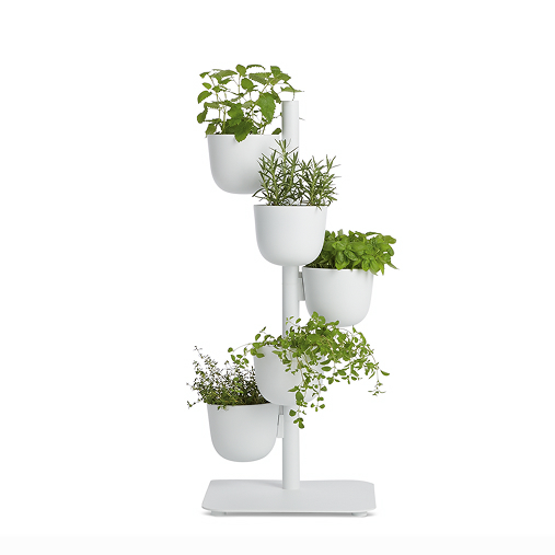 Story Planter
